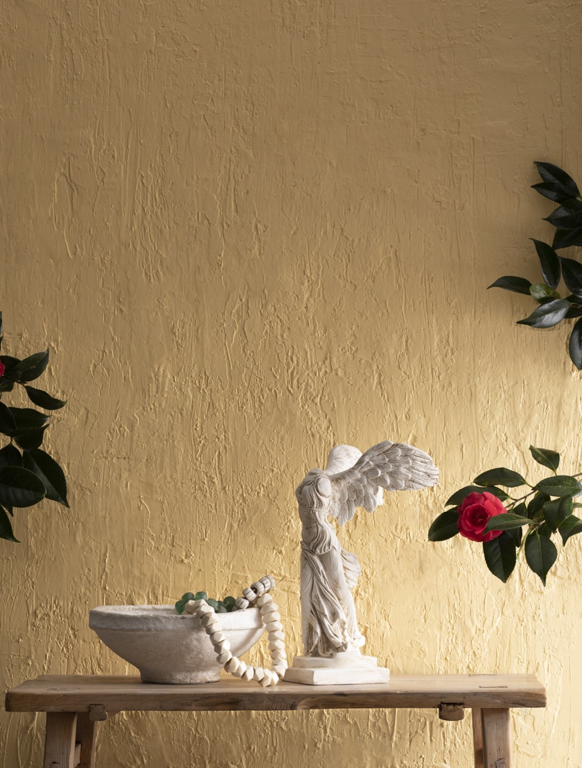 Painted wall in Suntan Yellow 2155-50