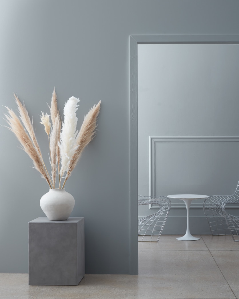 Painted wall in Sweatshirt Gray 2126-40