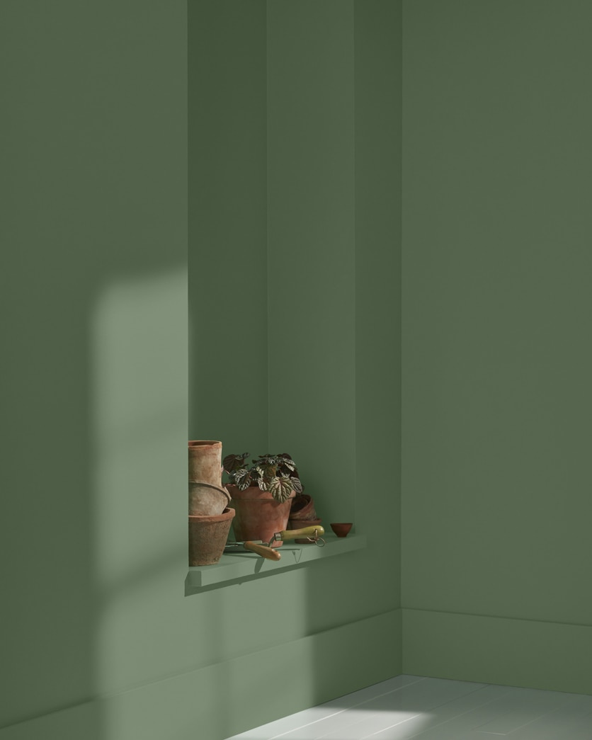 Painted wall in Sweet Basil 455