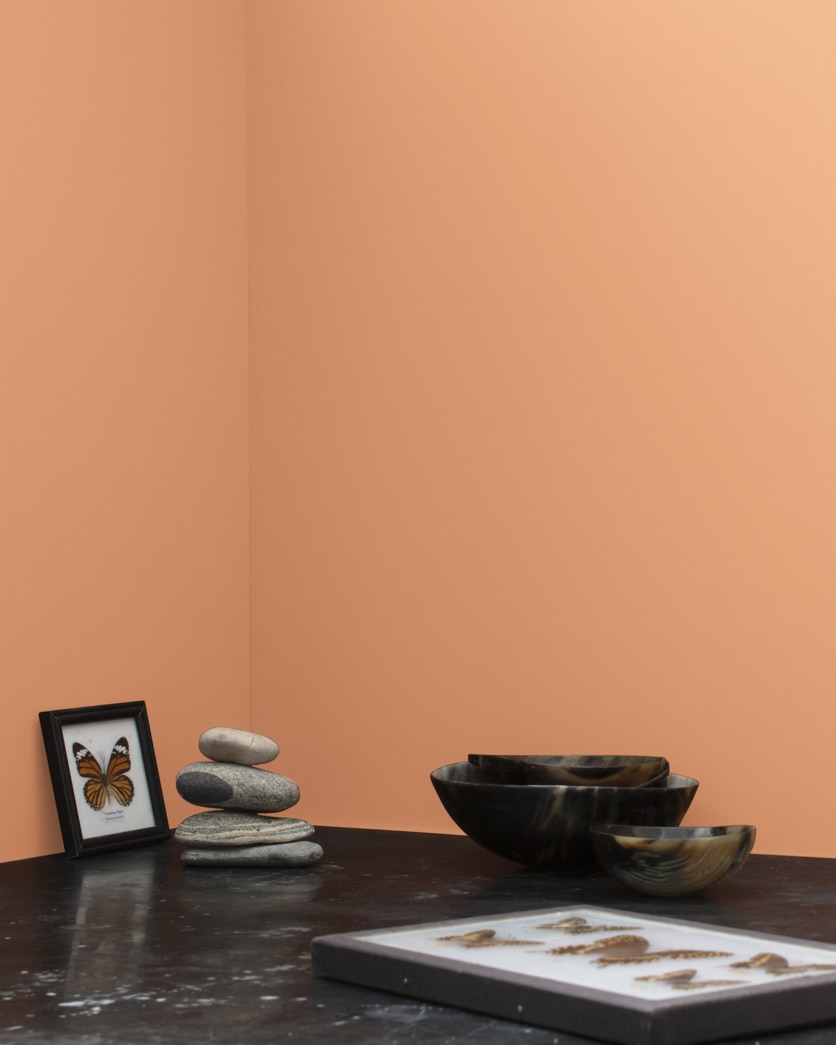 Painted wall in Sweet 'n Sour 103