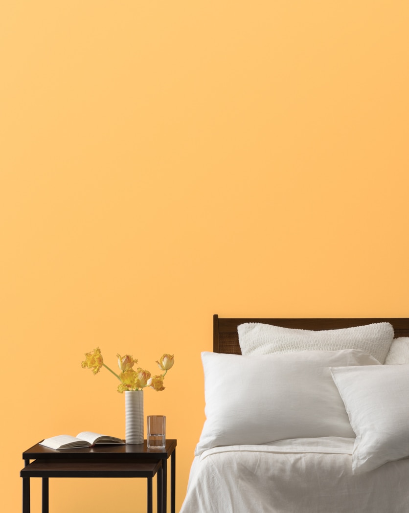 Painted wall in Sweet Orange 2017-40
