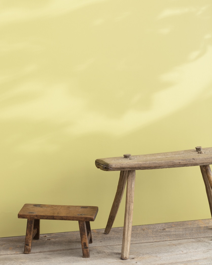 Painted wall in Sweet Pear 389