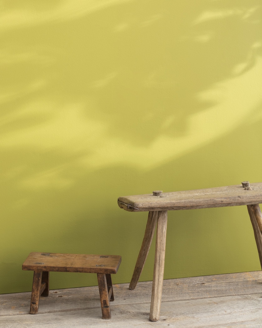 Painted wall in Sweet Vibrations 391