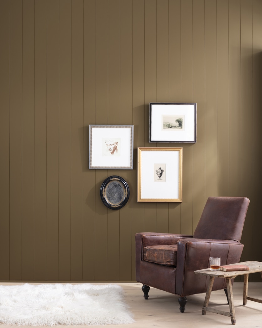 Painted wall in Tamarind AF-120