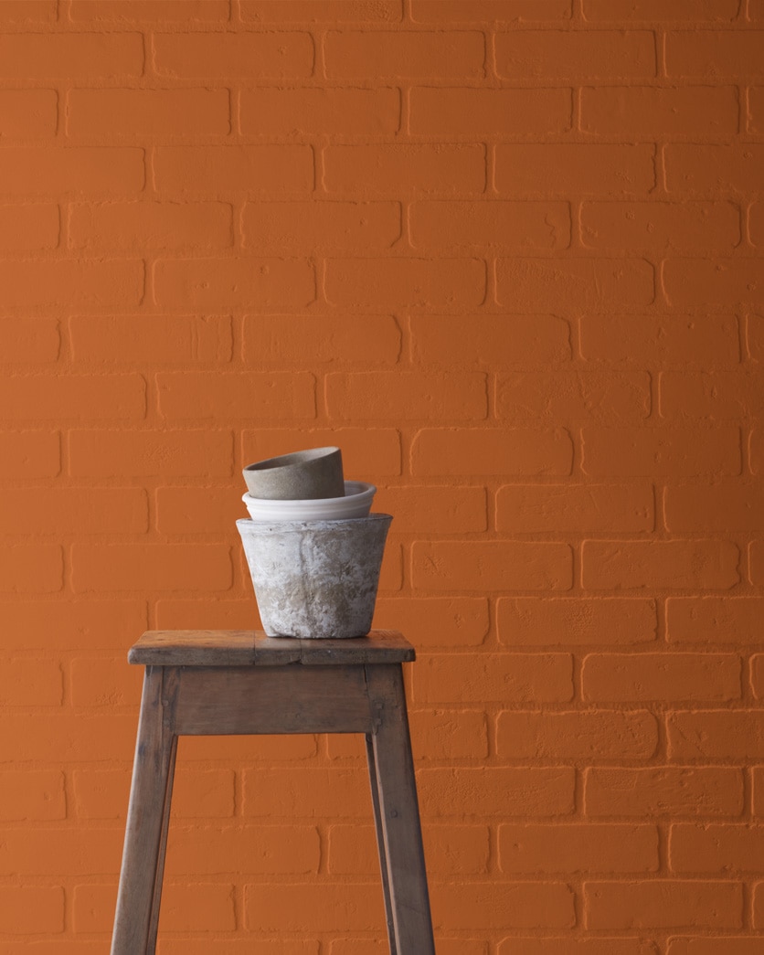 Painted wall in Tandoori CSP-1105