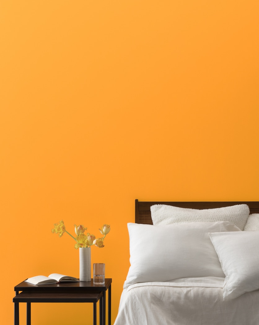 Painted wall in Tangelo 2017-30