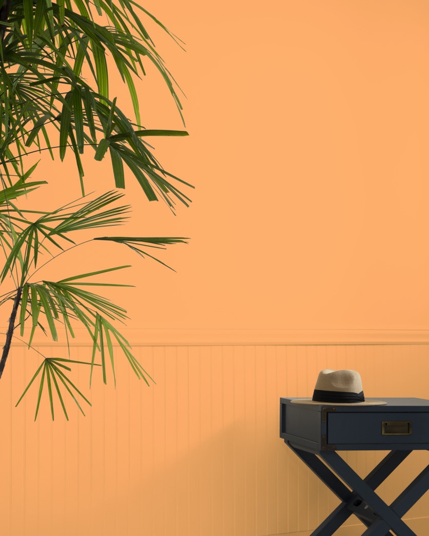 Painted wall in Tangerine Zing 132