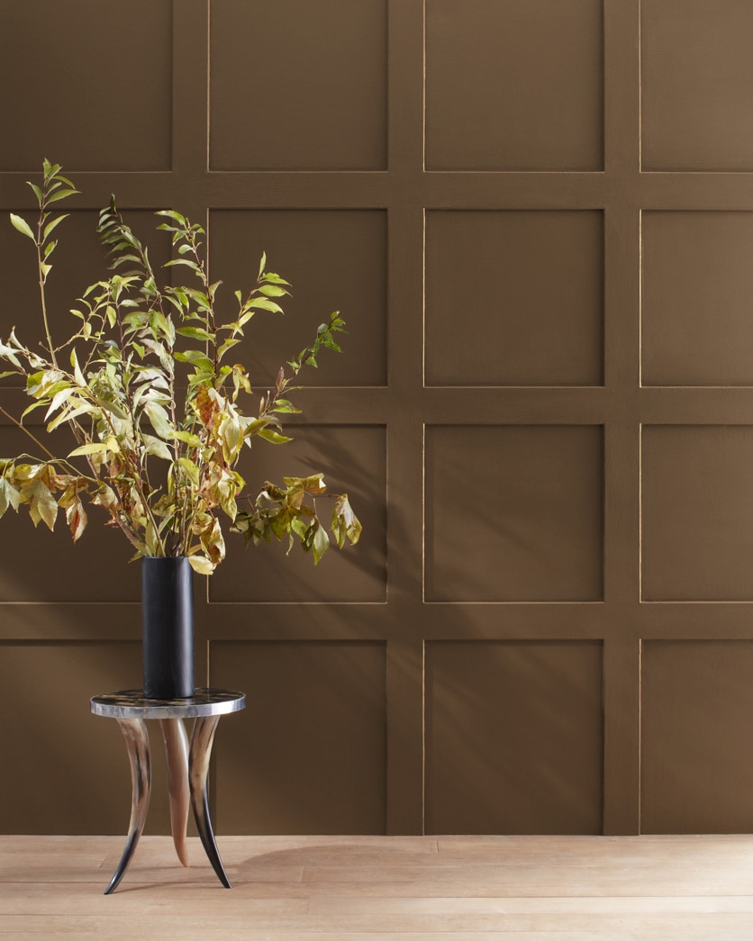 Painted wall in Taupe 2110-10