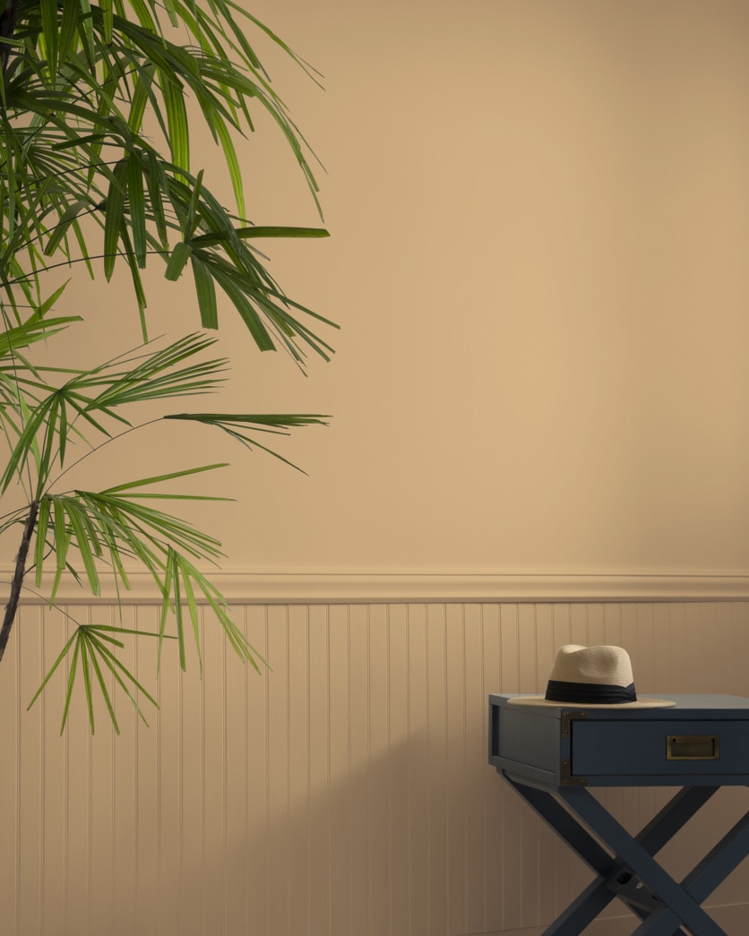 Painted wall in Tawny Bisque 1110