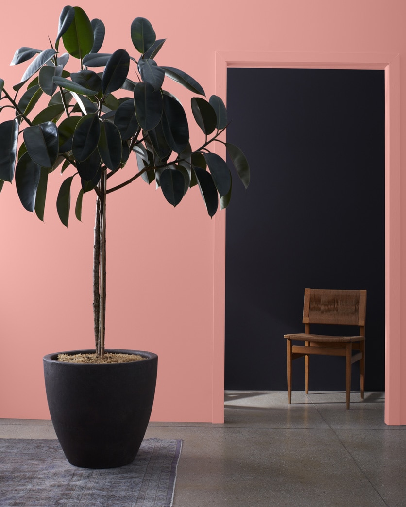 Painted wall in Tender Pink 2090-50