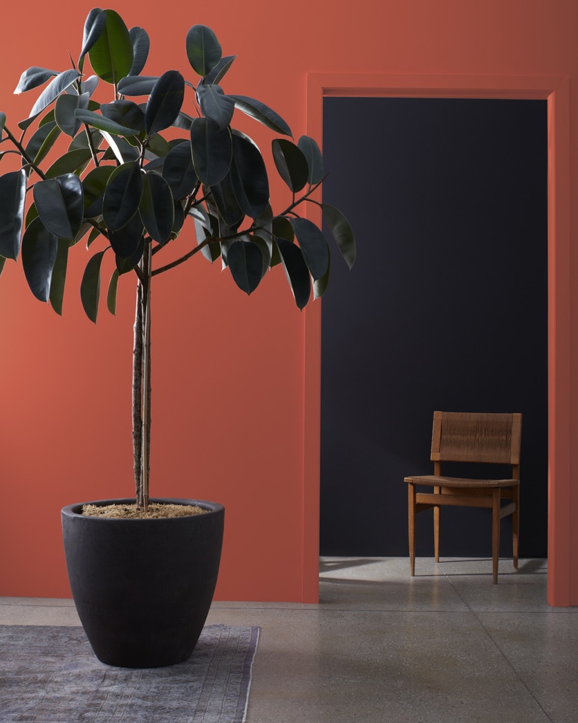 Painted wall in Terra Cotta Tile 2090-30