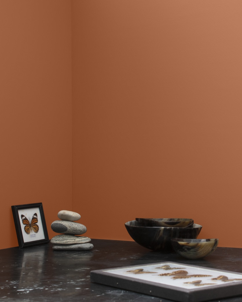 Painted wall in Terra Mauve 105