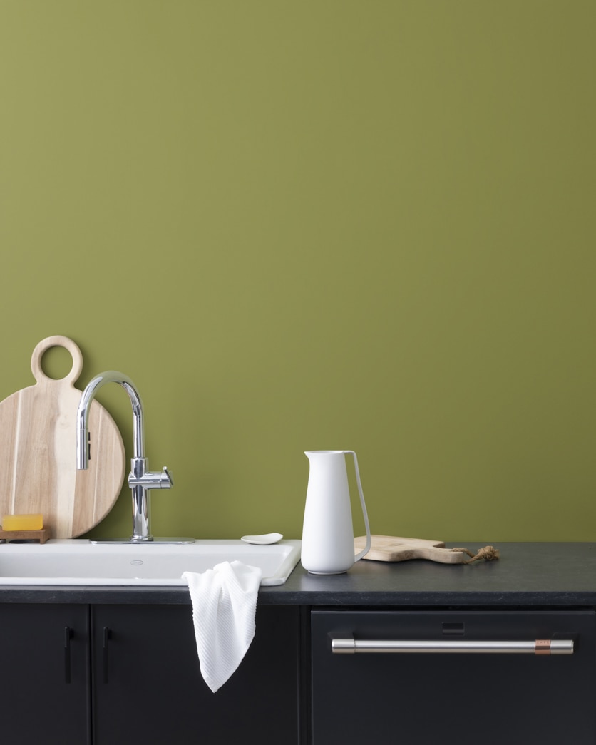 Painted wall in Terrapin Green 2145-20