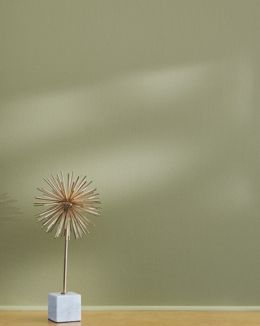 Painted wall in Thayer Green CSP-825