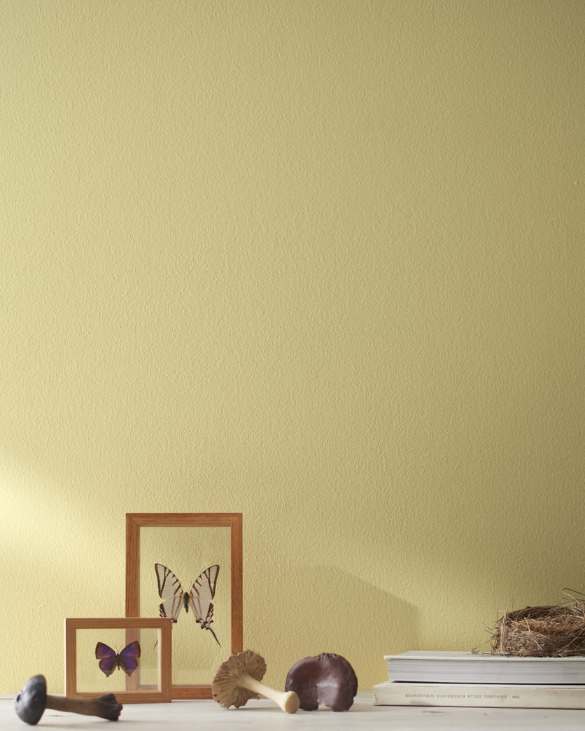 Painted wall in Timothy Straw 2149-40