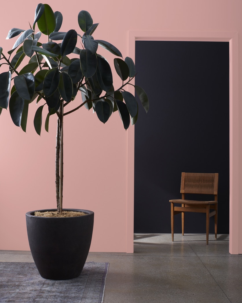 Painted wall in Titanic Rose 2092-50