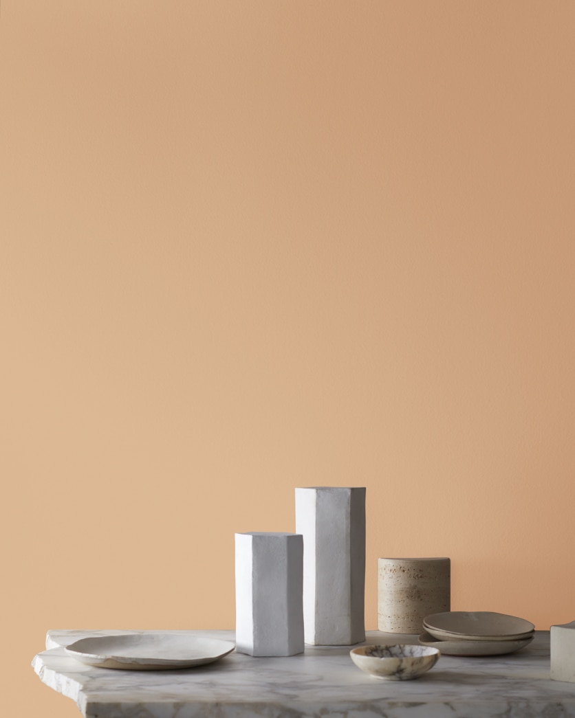 Painted wall in Toffee Cream 1138