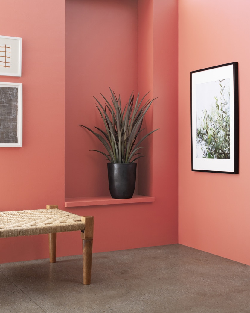 Painted wall in Tomato Cream Sauce 2089-40