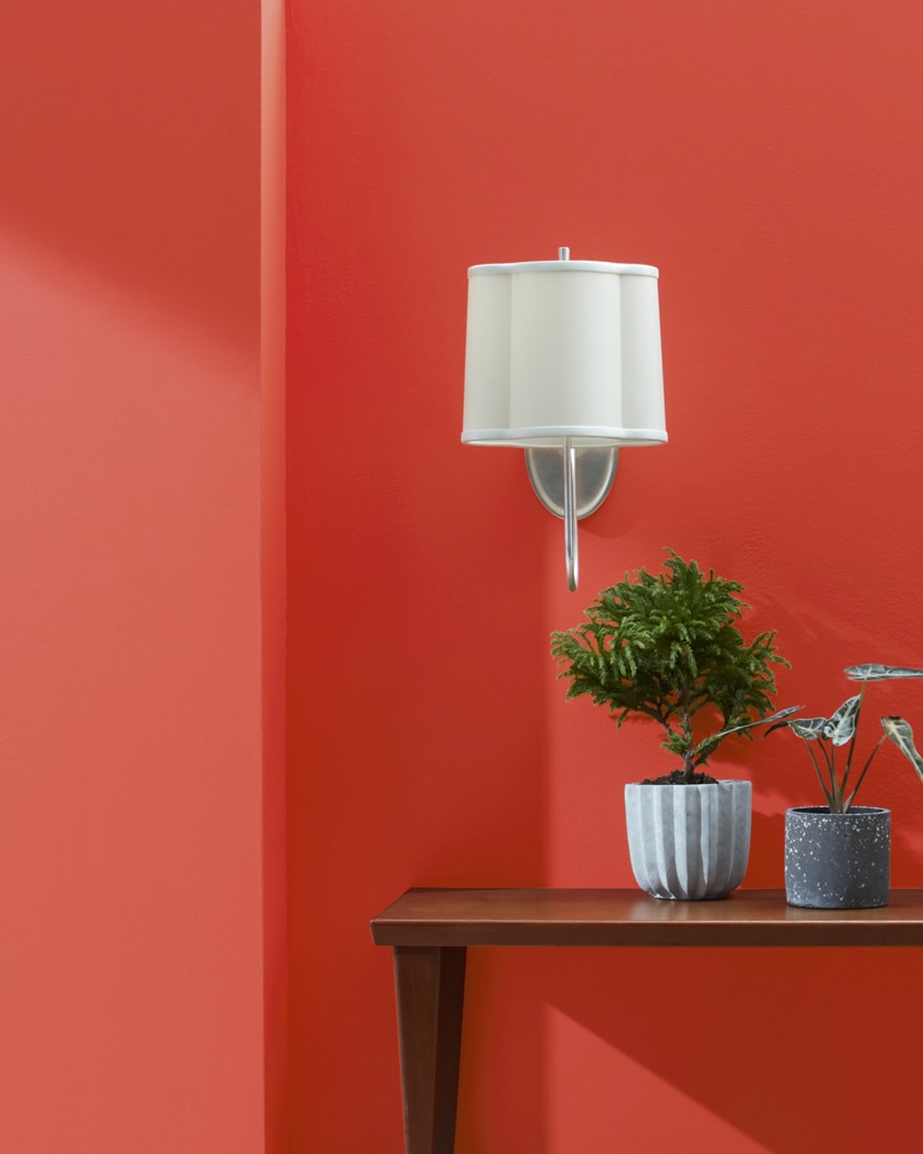 Painted wall in Tomato Tango CSP-1145