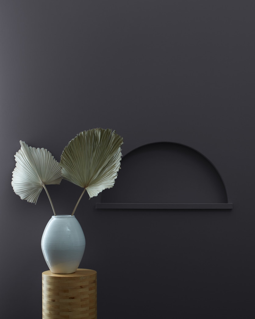 Painted wall in Toucan Black 2118-20