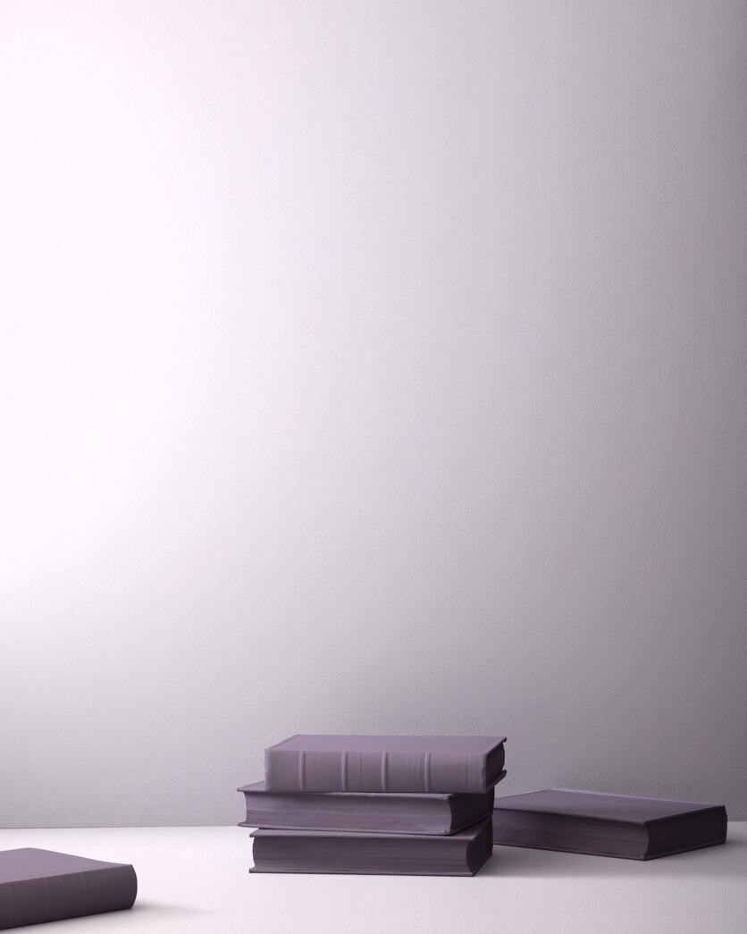 Painted wall in Touch of Gray 2116-60