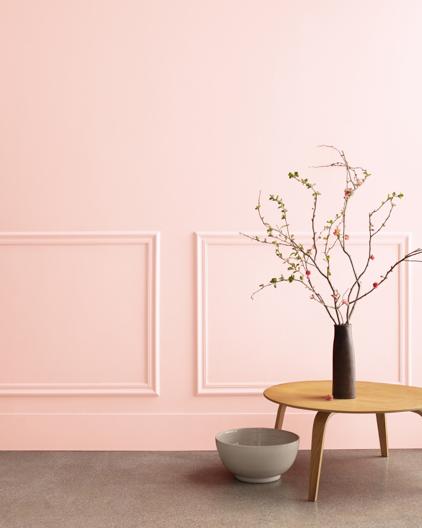 Painted wall in Touch of Pink 2008-70