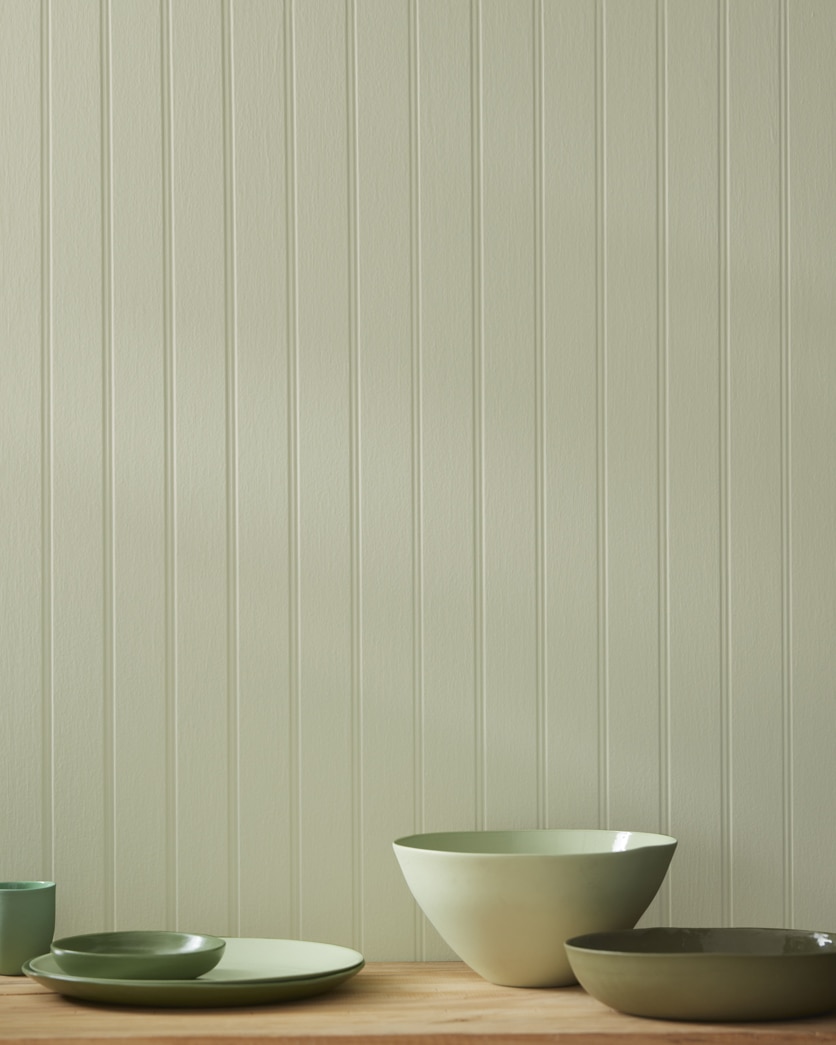 Painted wall in Tree Moss 508