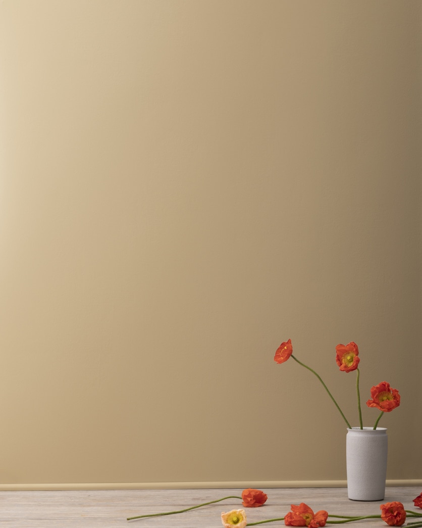 Painted wall in Trench Coat CSP-1020