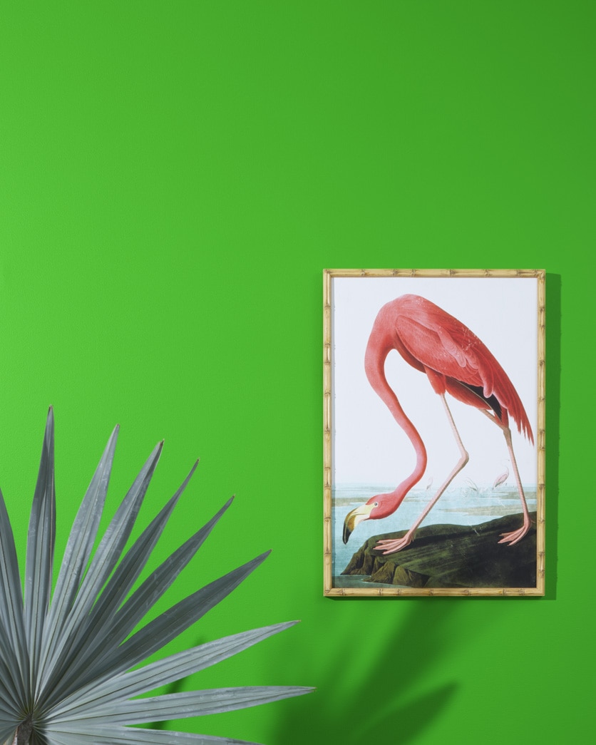 Painted wall in Tropical Seaweed Green 2030-20