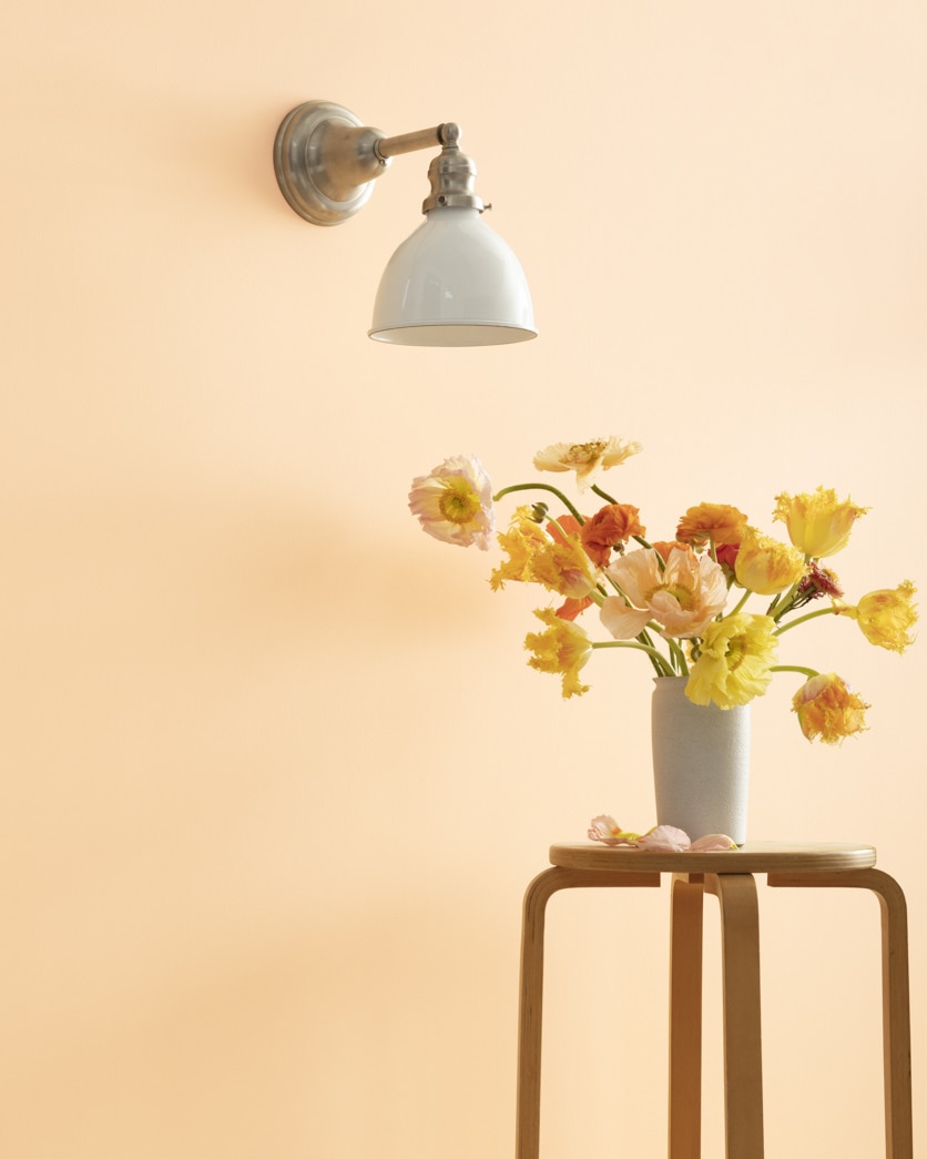 Painted wall in Tudor Cream 2157-60