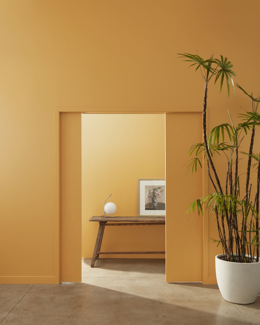 Painted wall in Turmeric 2160-20