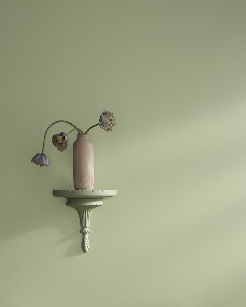Painted wall in Urban Nature AF-440