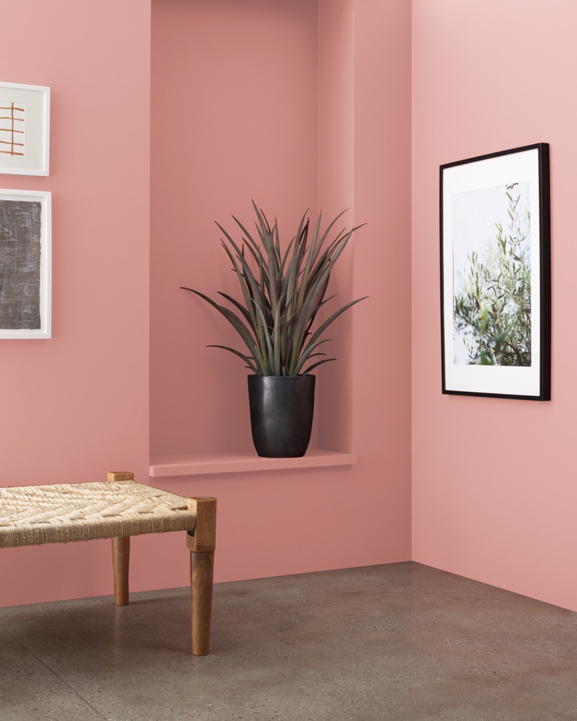 Painted wall in Venetian Rose 1292