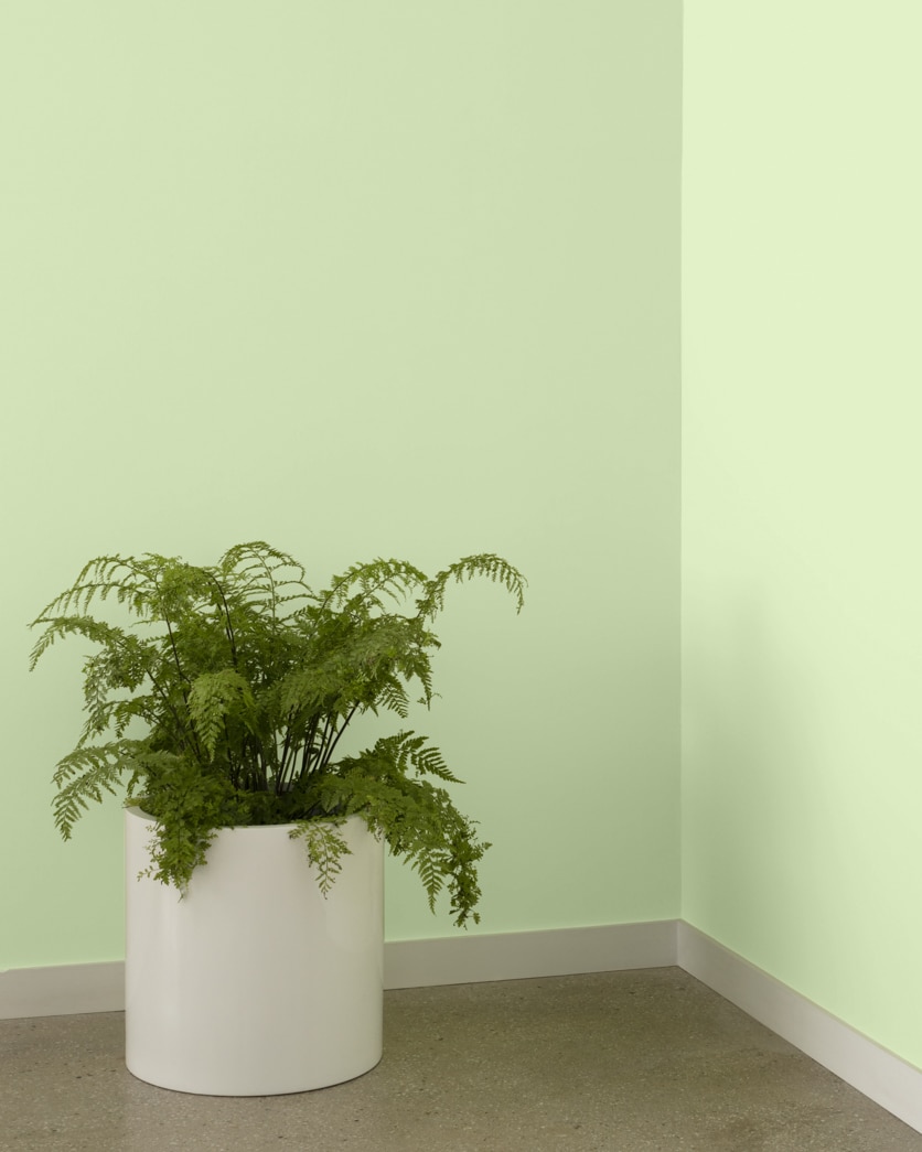Painted wall in Veranda View 541
