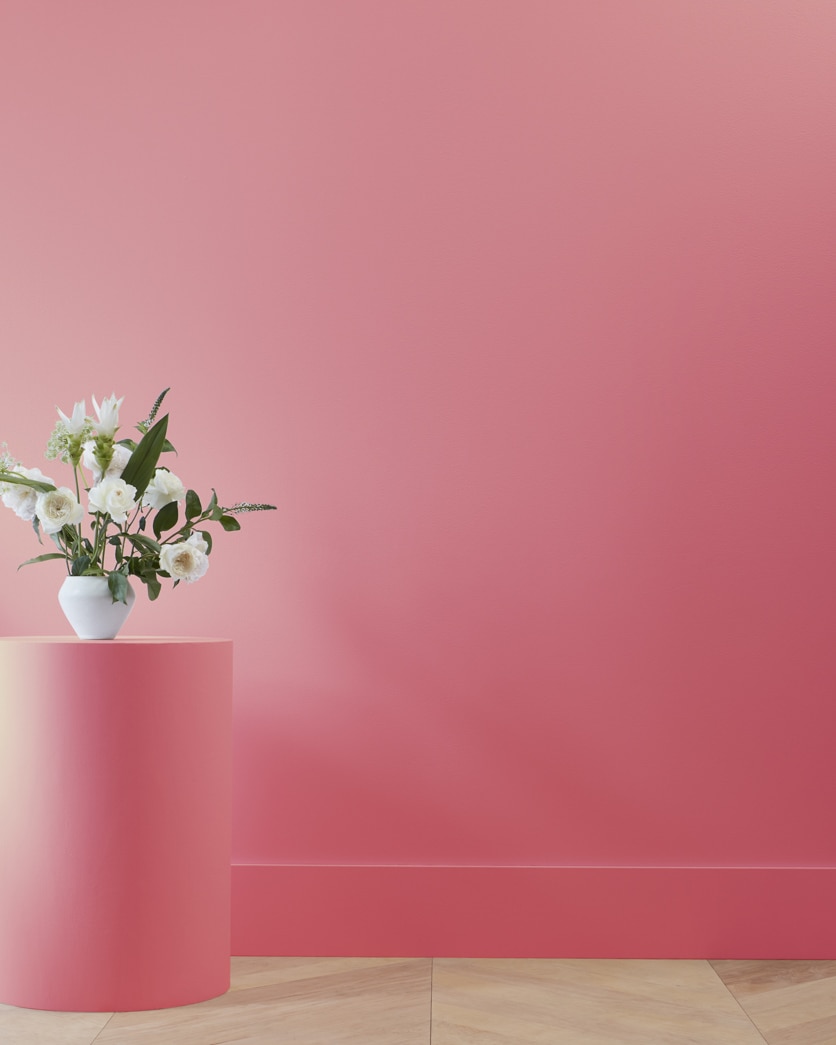 Painted wall in Vibrant Blush 2081-30