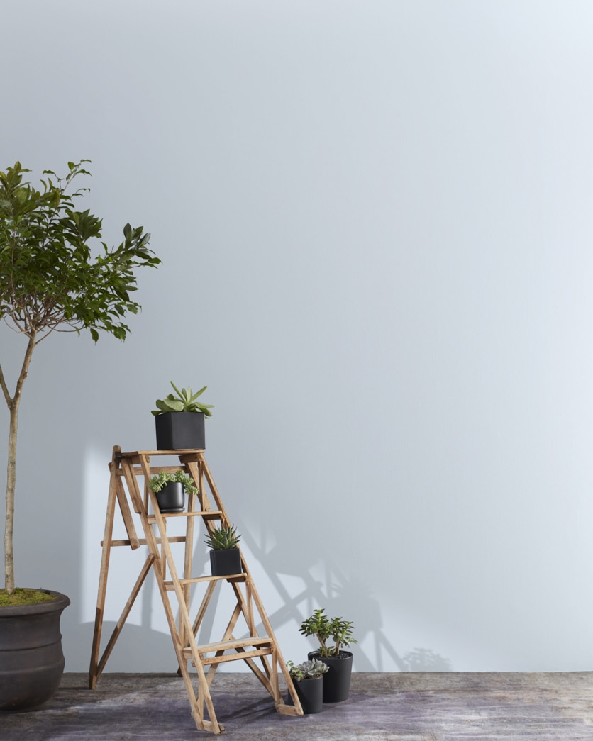 Painted wall in Violet Mist 1437