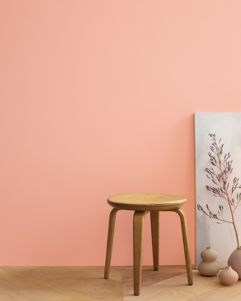 Painted wall in Vivid Peach 025