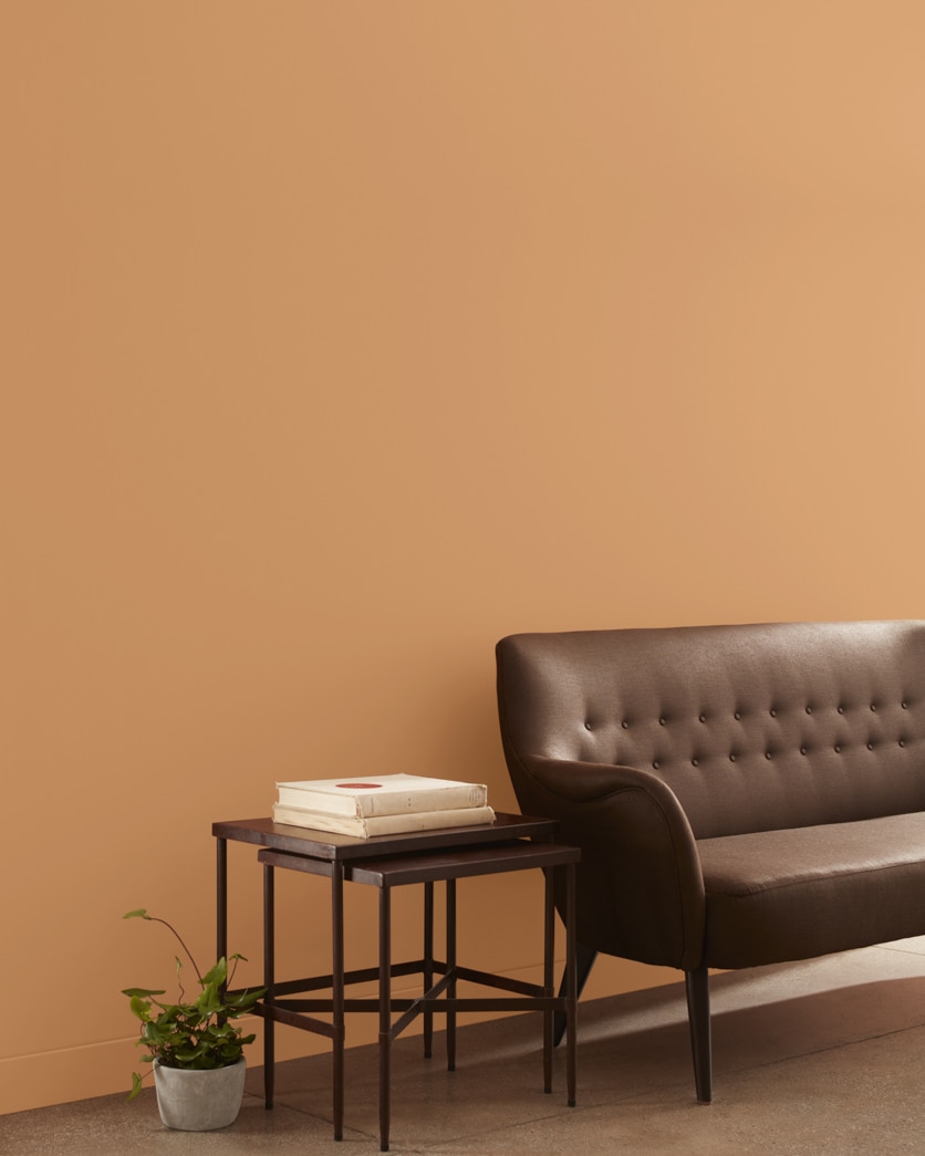Painted wall in Warm Sunglow CSP-1070