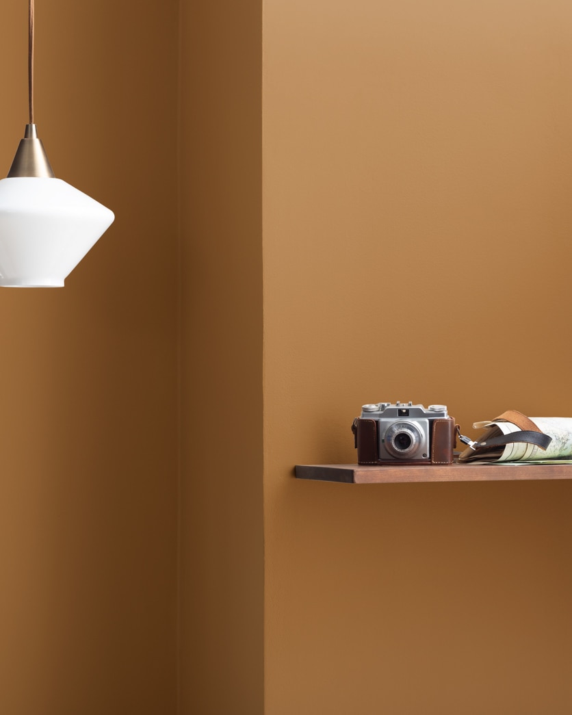 Painted wall in Warm Tan 2162-30
