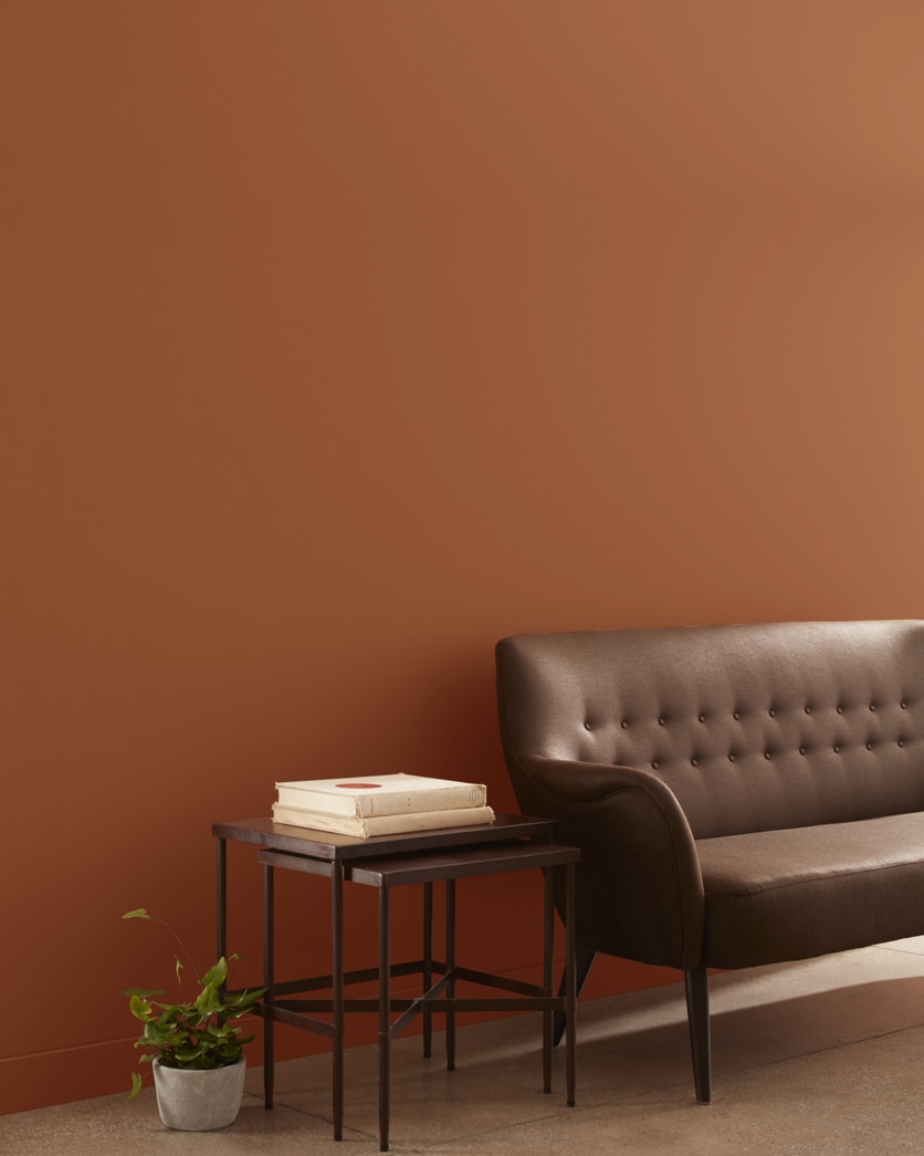 Painted wall in Warmed Cognac AF-235