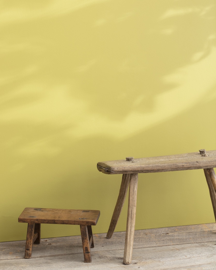 Painted wall in Wasabi AF-430
