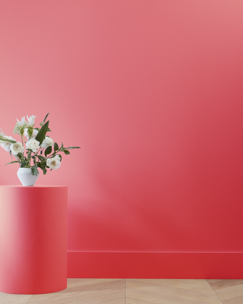 Painted wall in Watermelon Red 2087-20