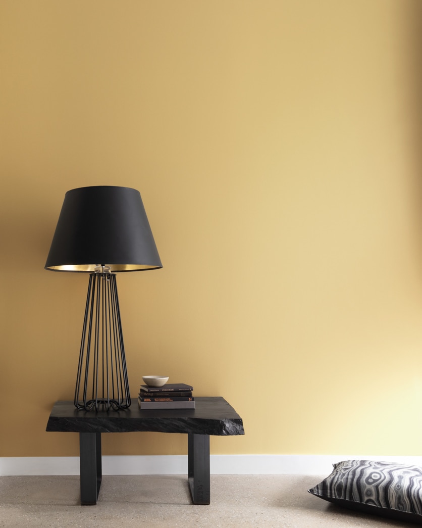 Painted wall in Westwood Tan 256