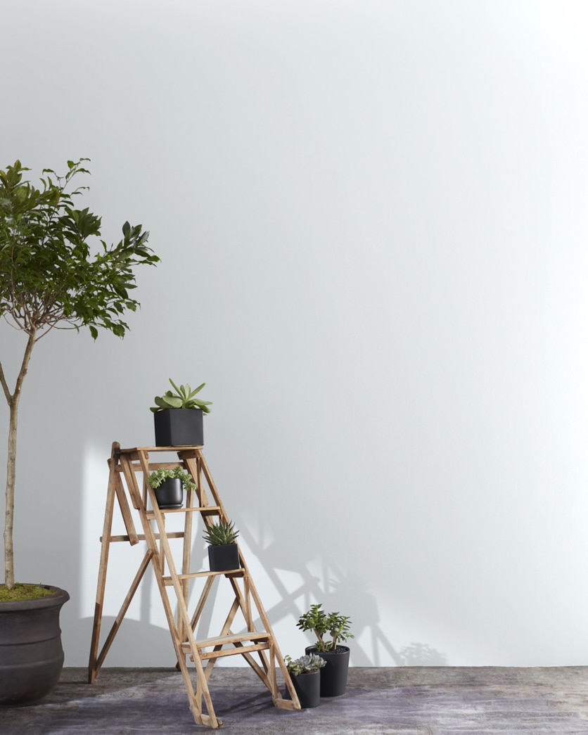 Painted wall in Whirlpool CC-910