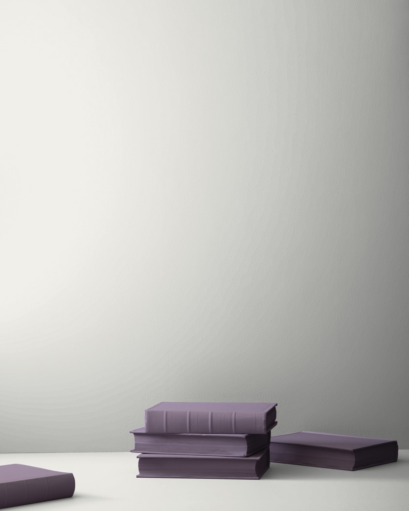Painted wall in Whisper CSP-500