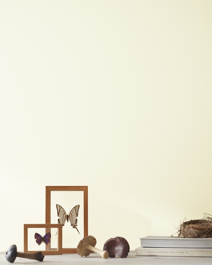 Painted wall in White Chocolate 2149-70