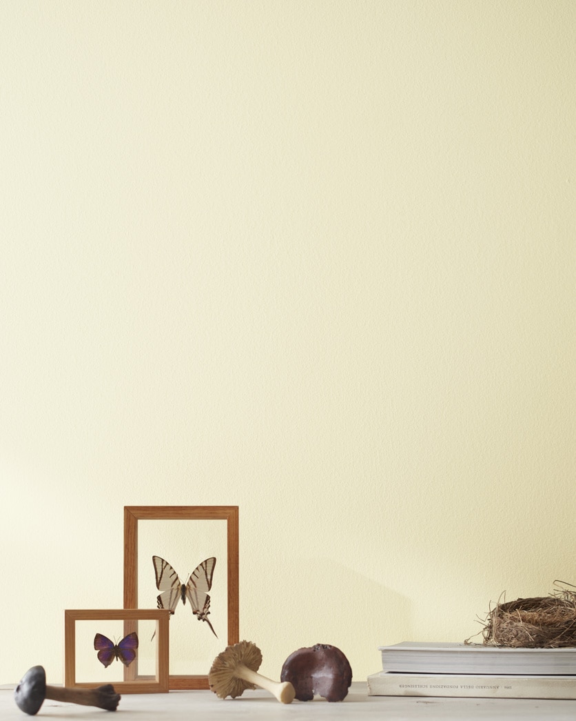 Painted wall in White Marigold 2149-60