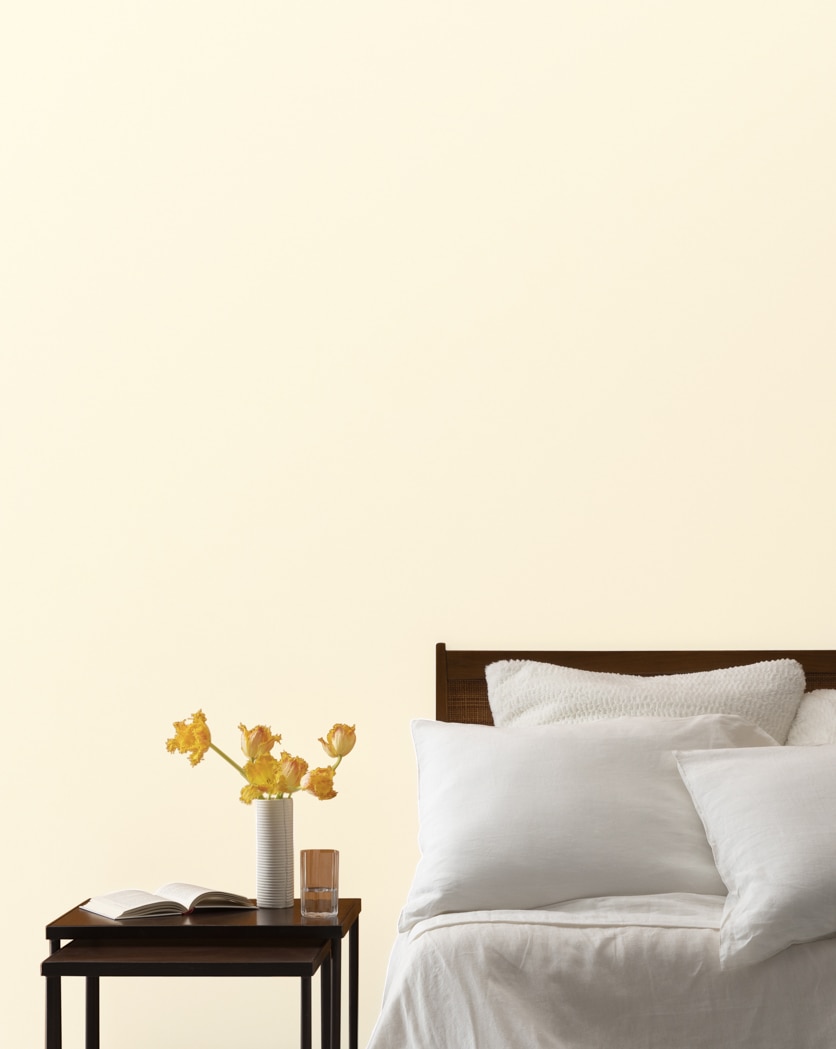 Painted wall in White Vanilla 2017-70