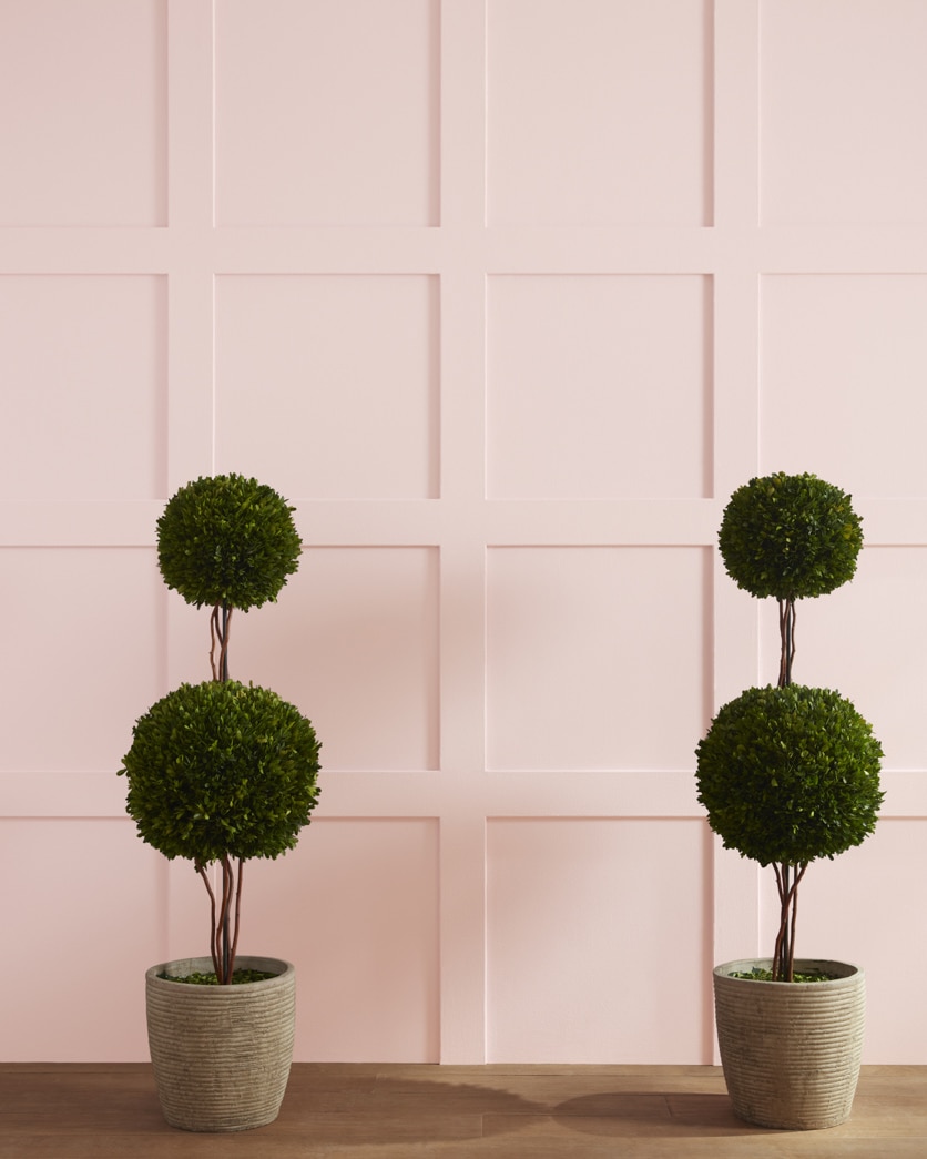 Painted wall in Wild Aster 1240