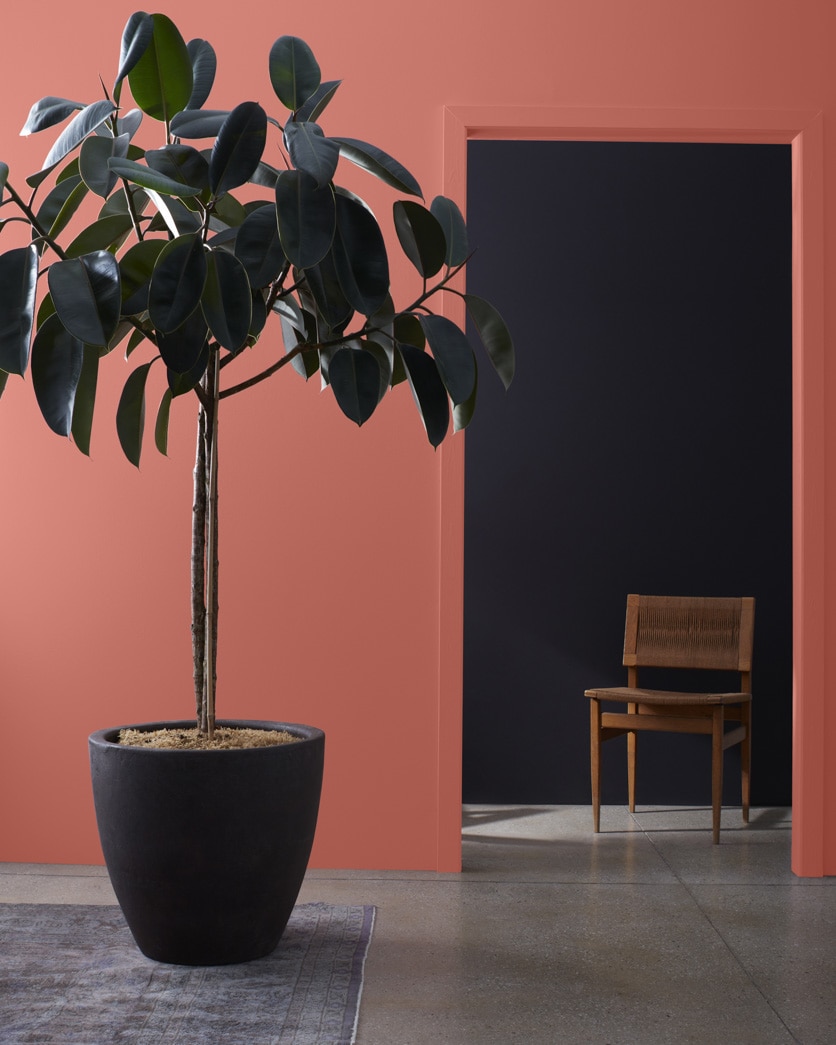 Painted wall in Wild Flower 2090-40